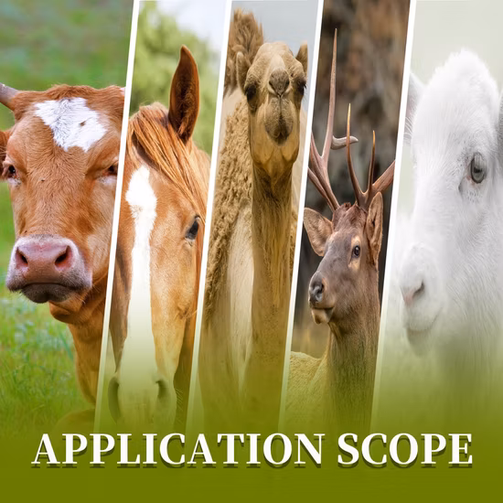 Aditivo composto para ovelhas para promover o crescimento animal, aumentar o peso corporal e aumentar a resistência 15kg/balde